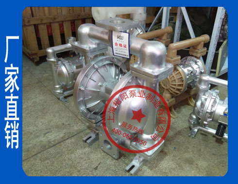 BQG100/0.3礦用氣動(dòng)隔膜泵